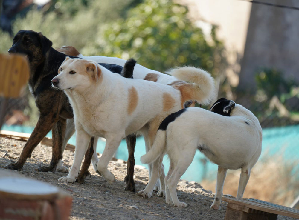 neues Foto Februar 2026