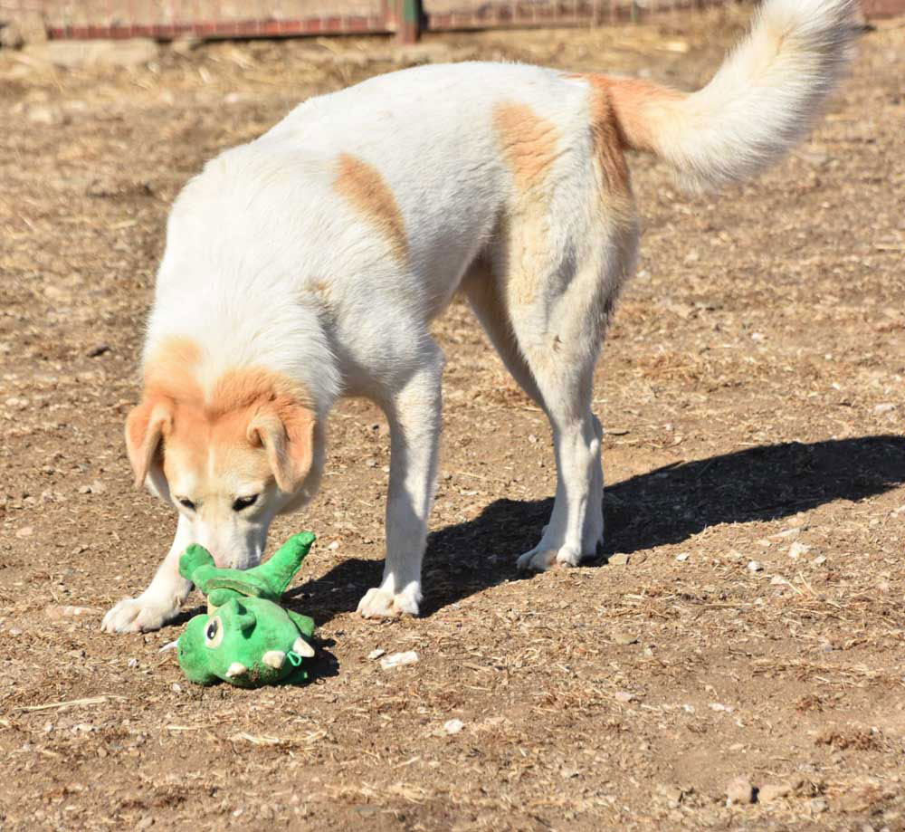 neues Foto Februar 2026