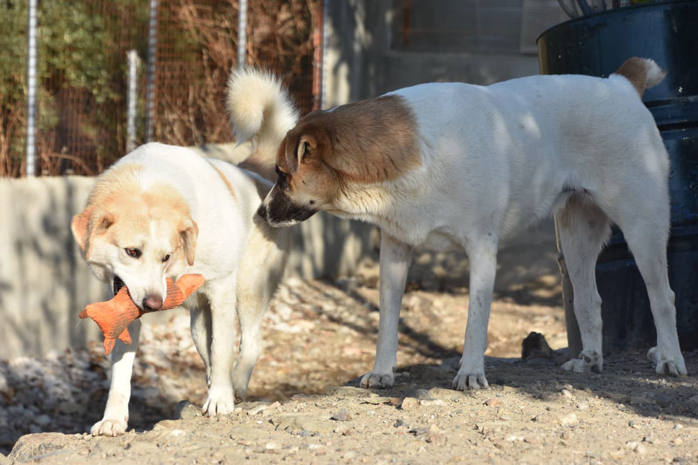 neues Foto Februar 2026