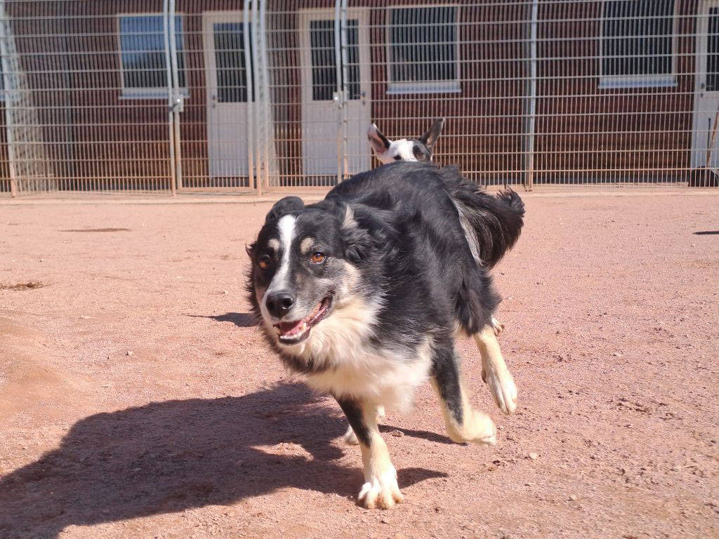 neues Foto Februar 2026