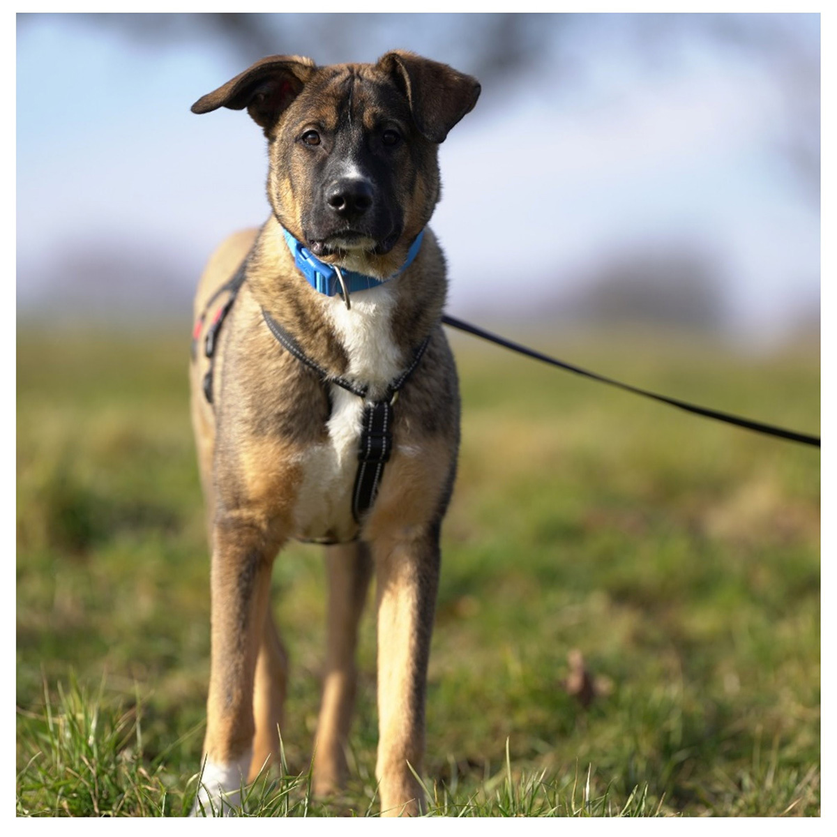 neue Fotos Februar 2026