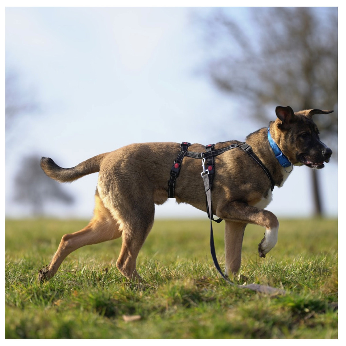 neue Fotos Februar 2026