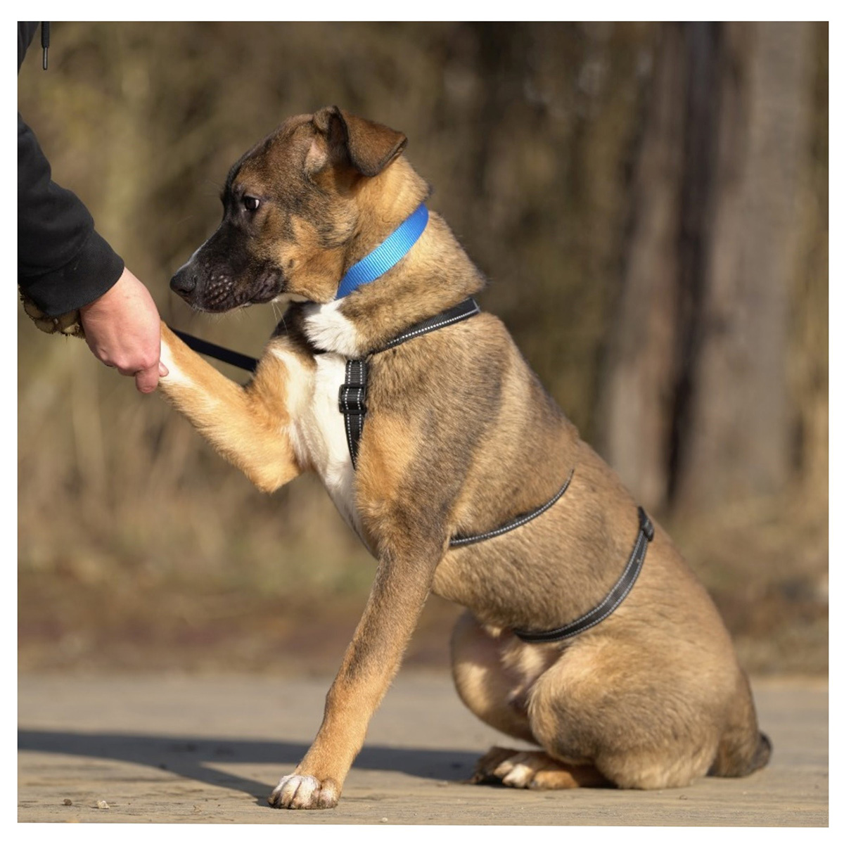 neue Fotos Februar 2026