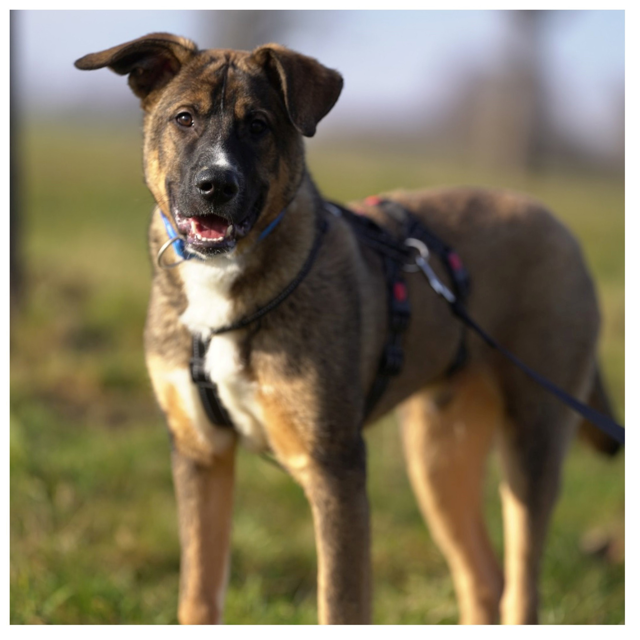 neue Fotos Februar 2026