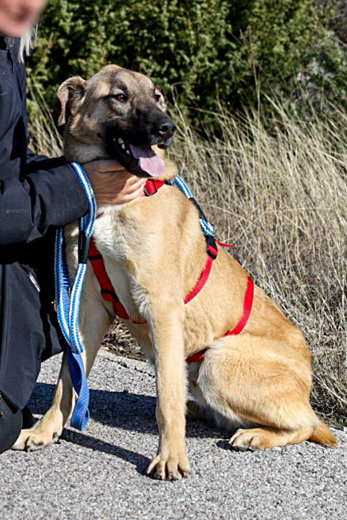 neue Fotos Februar 2026