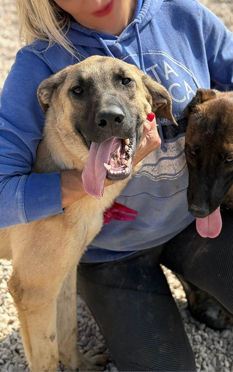 neue Fotos Februar 2026