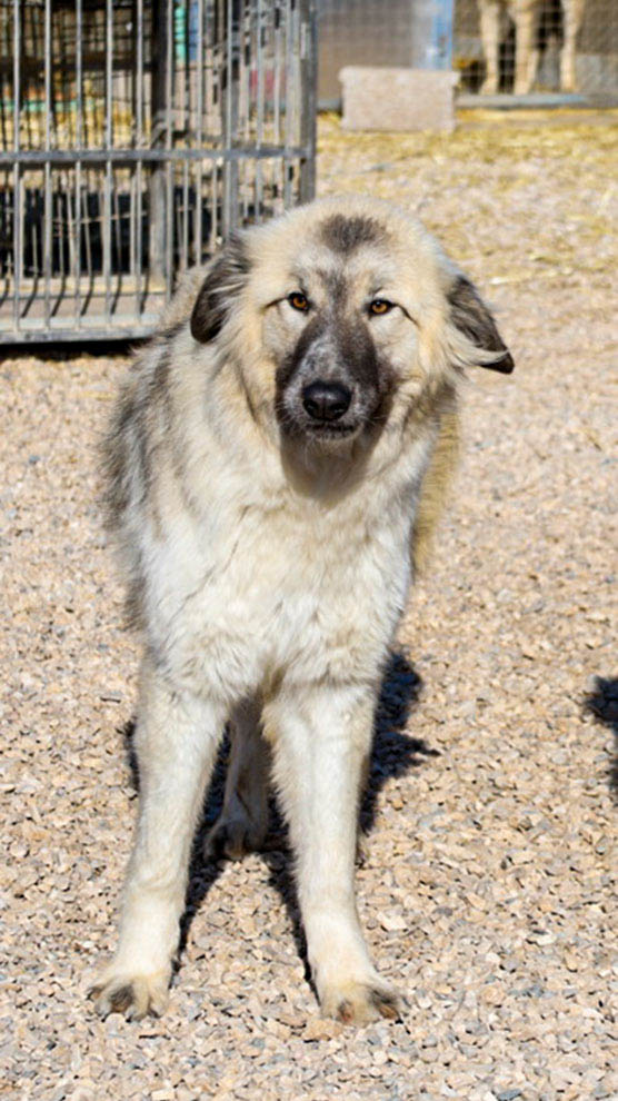 Liesa, neue Fotos Februar 2026