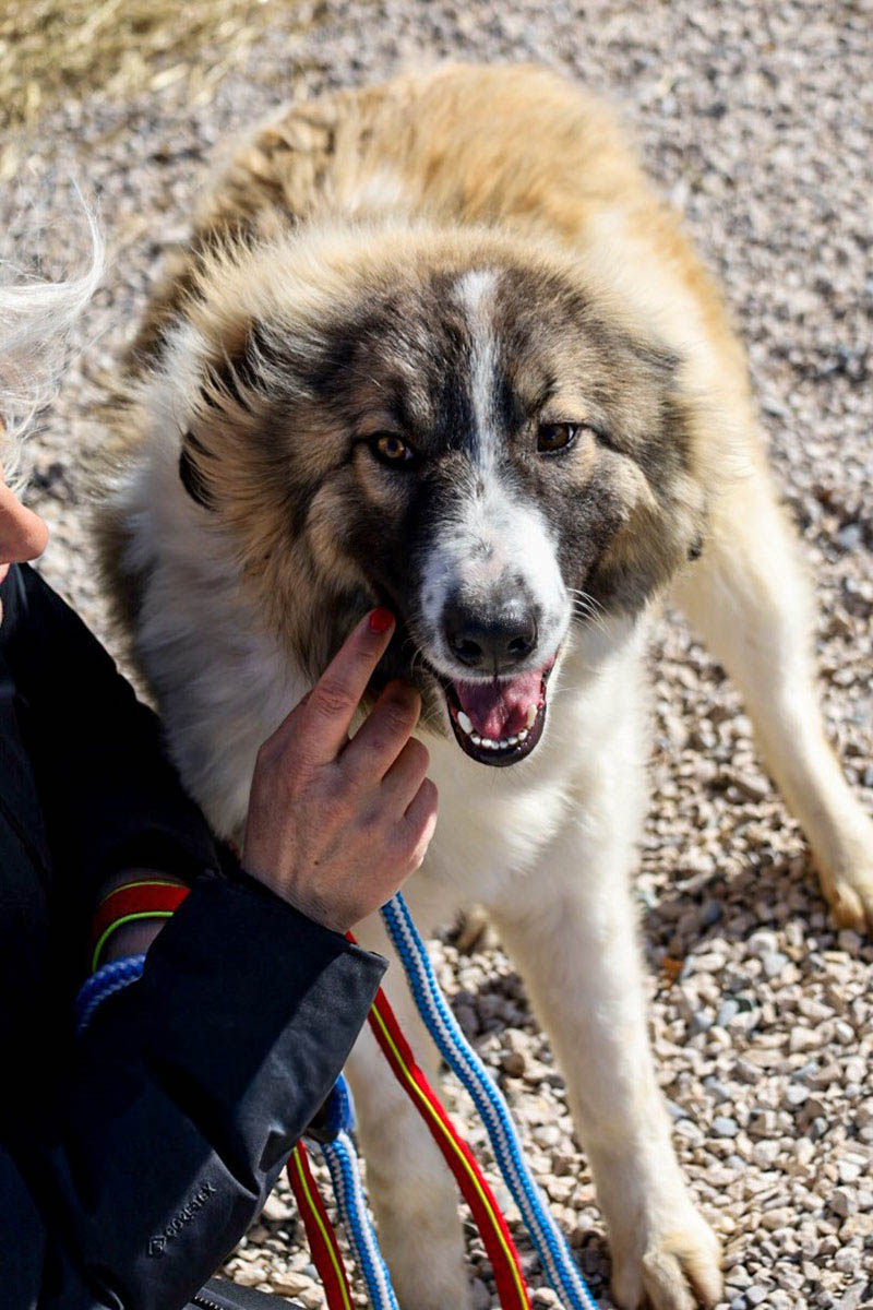 Bandon, neue Fotos Februar 2026