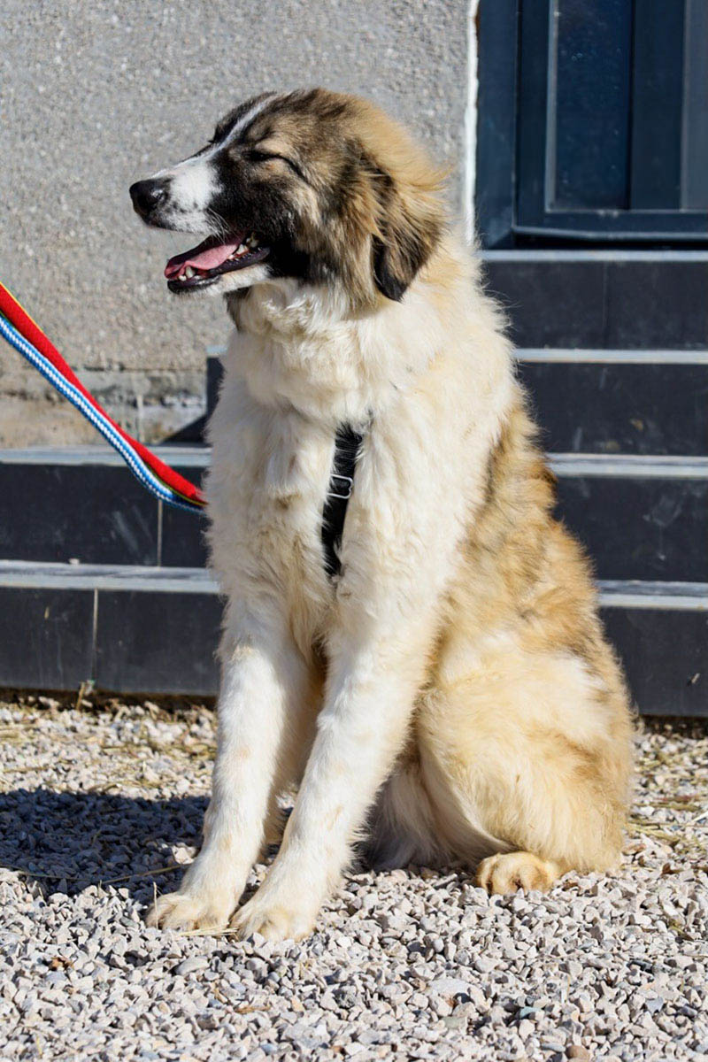 Bandon, neue Fotos Februar 2026