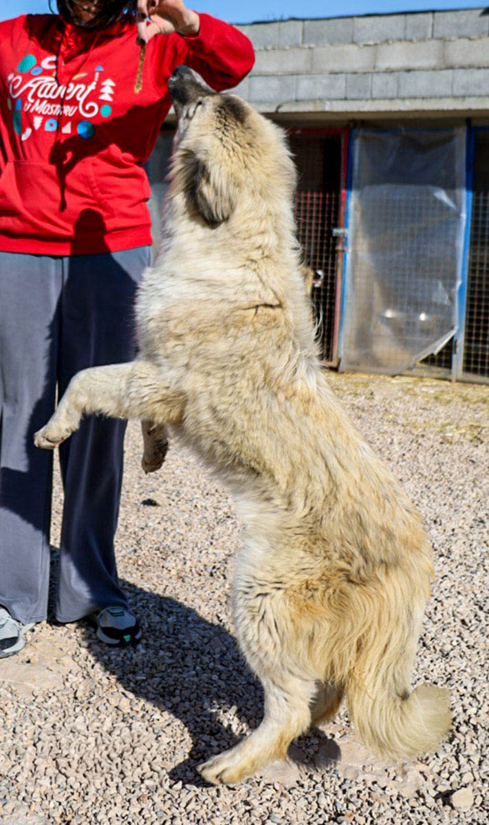 Liesa, neue Fotos Februar 2026