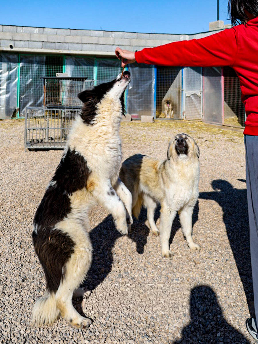 Morrisson, neue Fotos Februar 2026