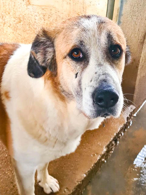 neue Fotos Februar 2026