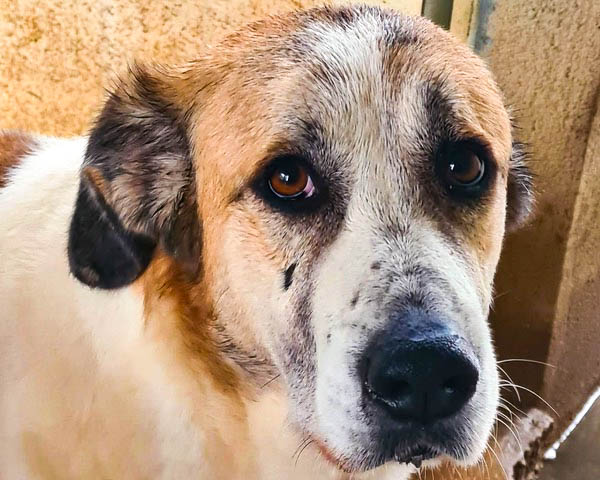 neue Fotos Februar 2026