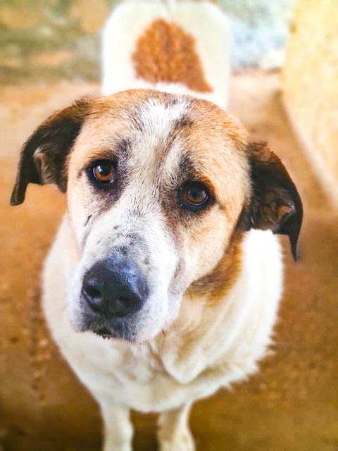 neue Fotos Februar 2026