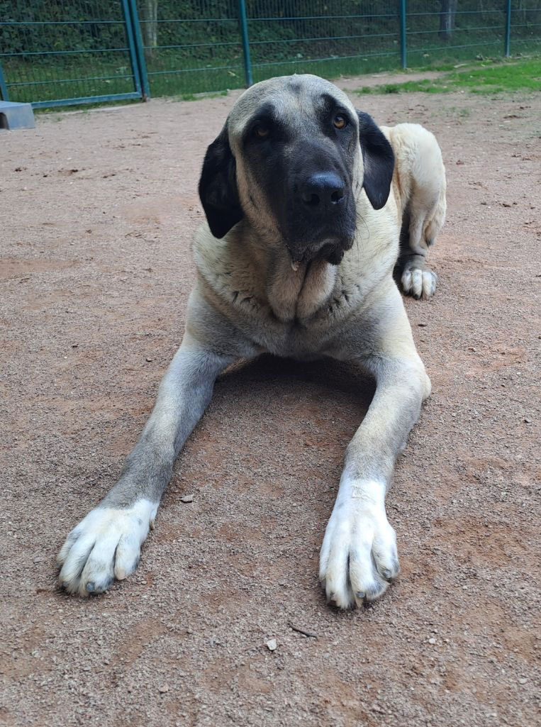 neues Foto Februar 2026