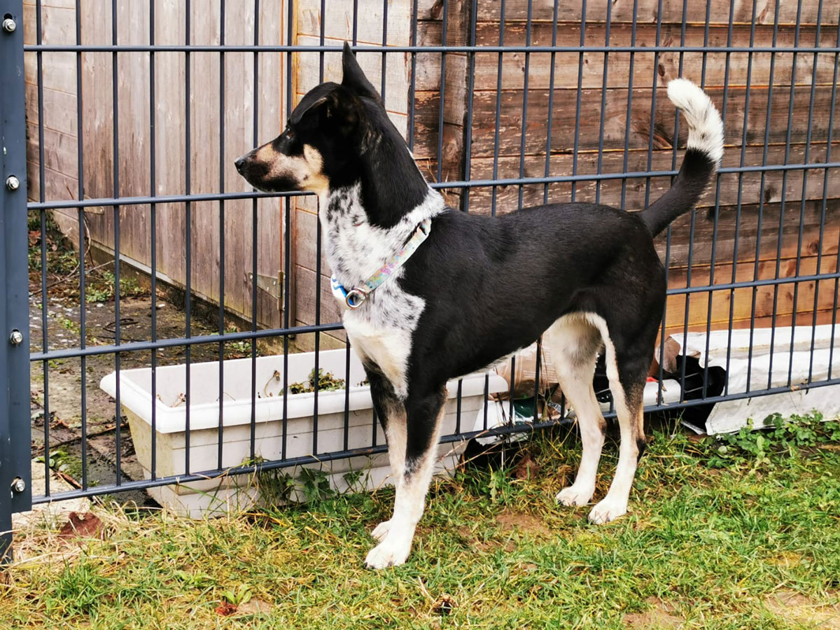 neues Foto März 2026