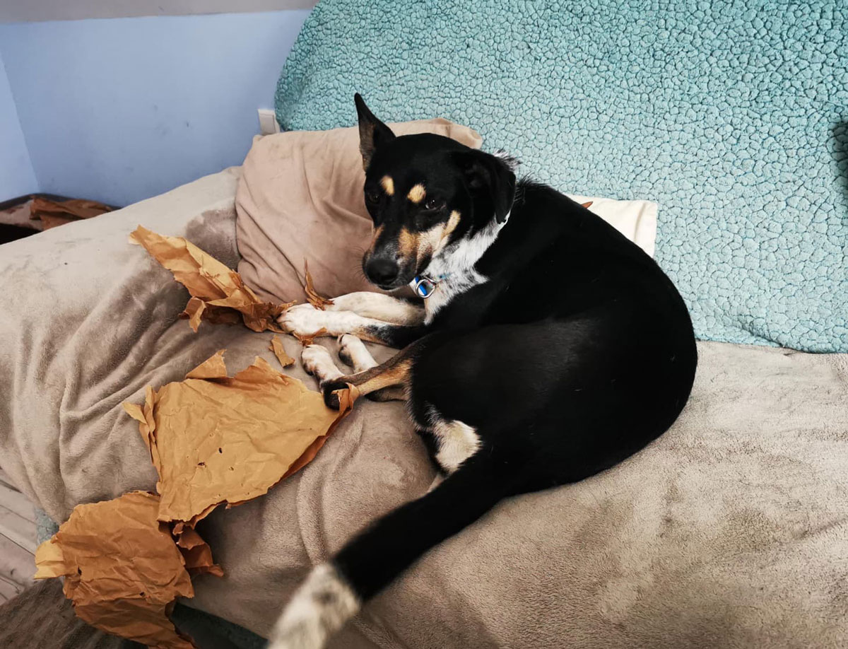 .... das bringt Spaß