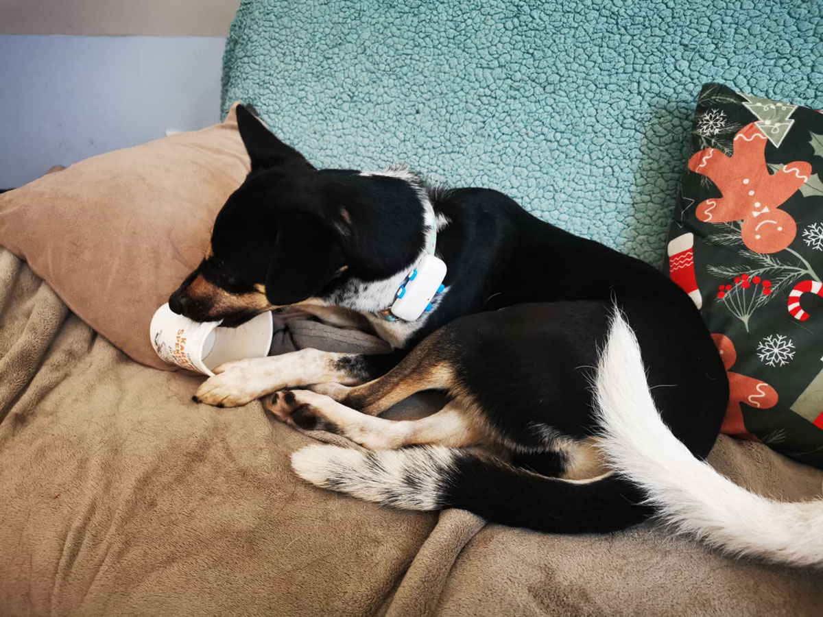 neues Foto März 2026