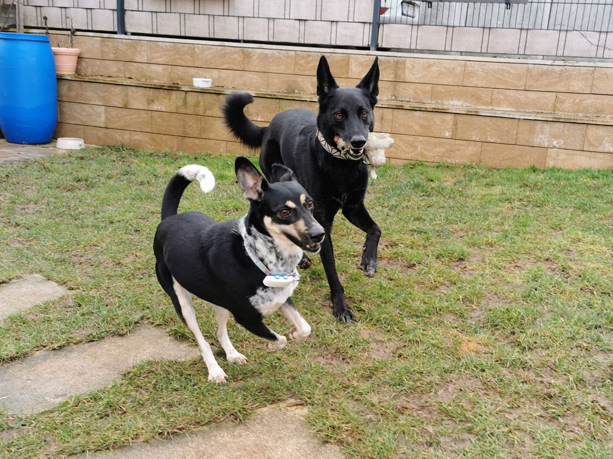 Pari mit Freund Kaito