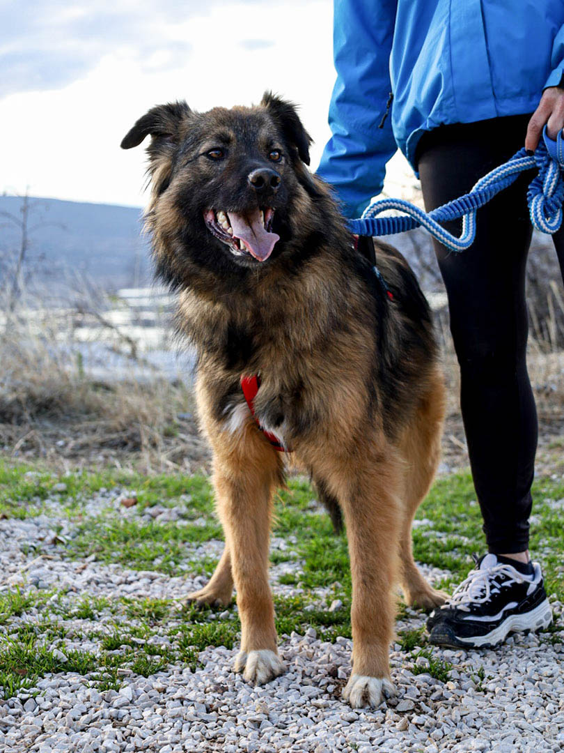 neue Fotos Februar 2026