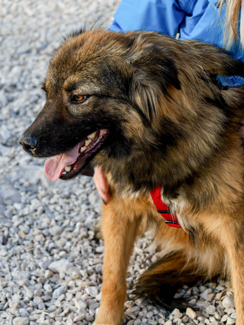 neue Fotos Februar 2026