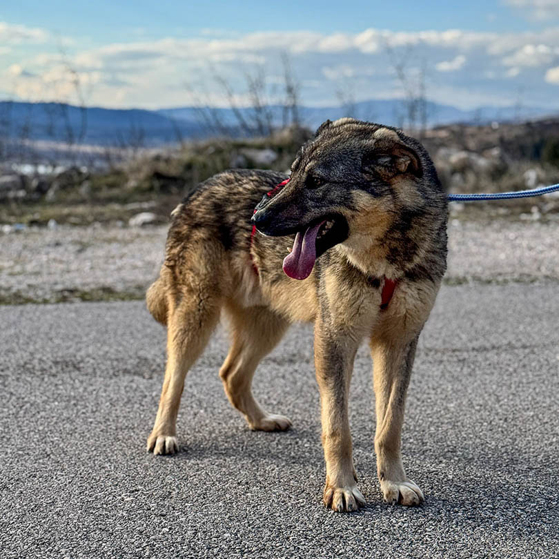 neues Foto Februar 2026