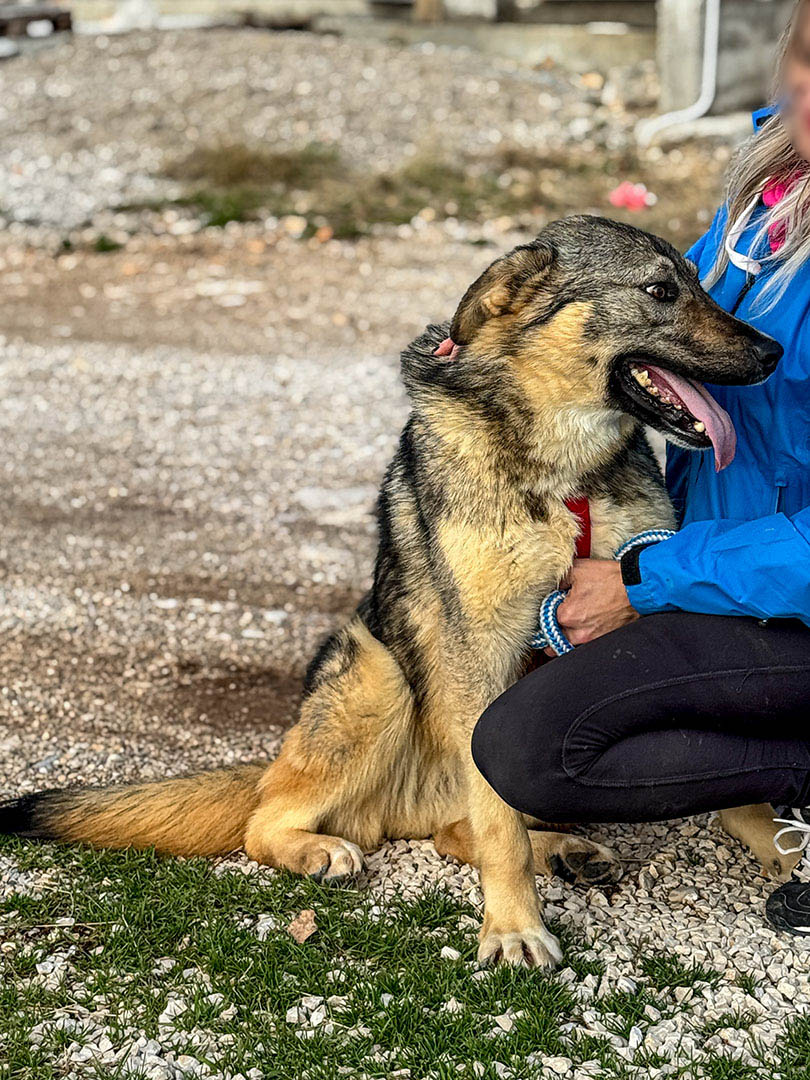 neues Foto Februar 2026