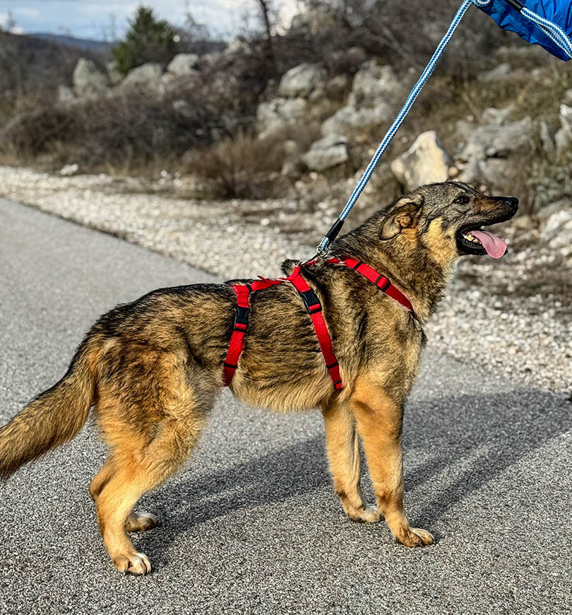 neues Foto Februar 2026