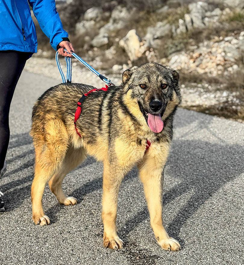 neues Foto Februar 2026