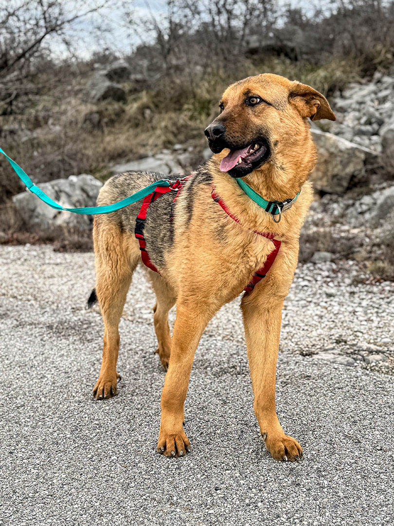 neues Foto Februar 2026