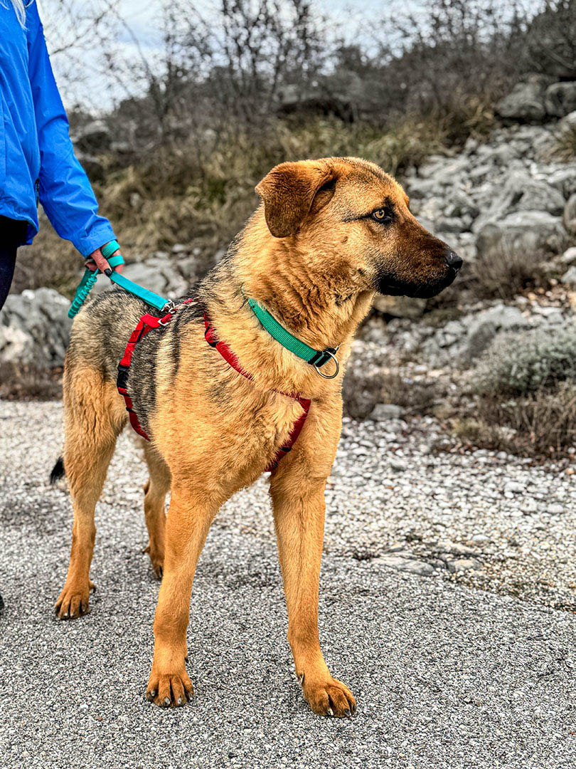 neues Foto Februar 2026