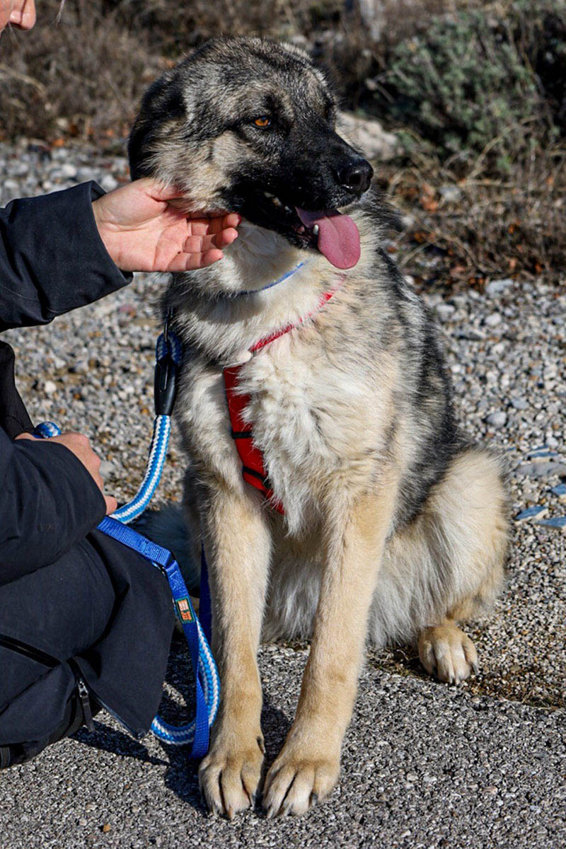 neues Foto Februar 2026