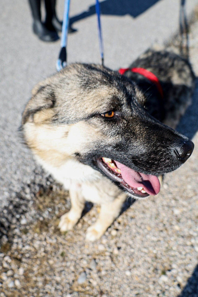 neues Foto Februar 2026