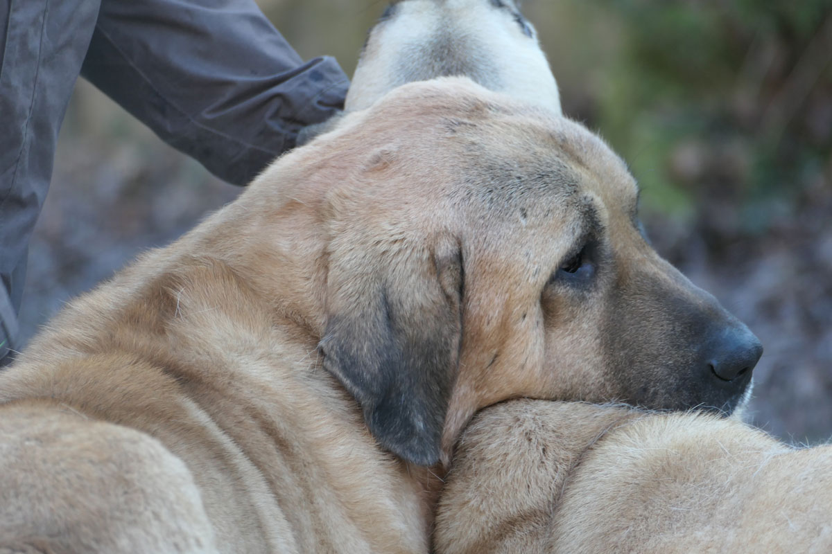 neues Foto Februar 2026