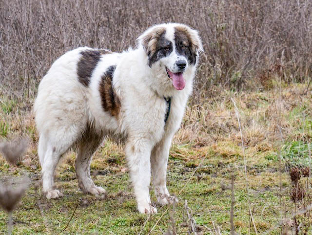 neues Fotos Februar 2026