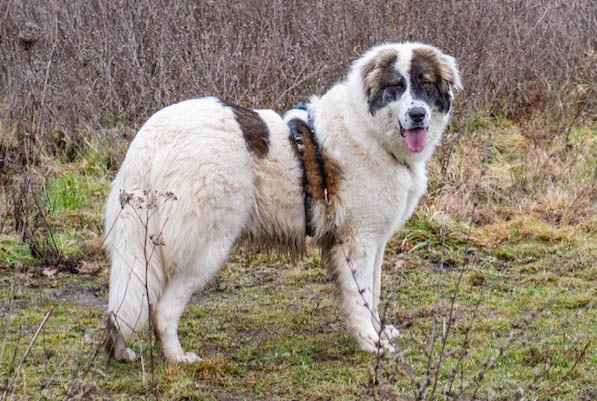 neues Fotos Februar 2026