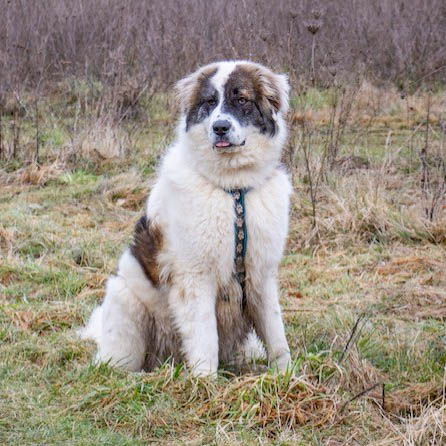 neues Fotos Februar 2026