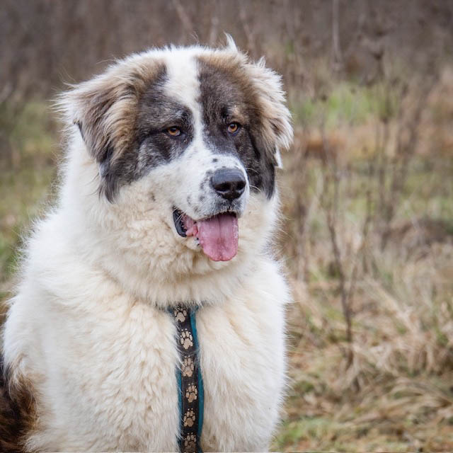 neues Fotos Februar 2026