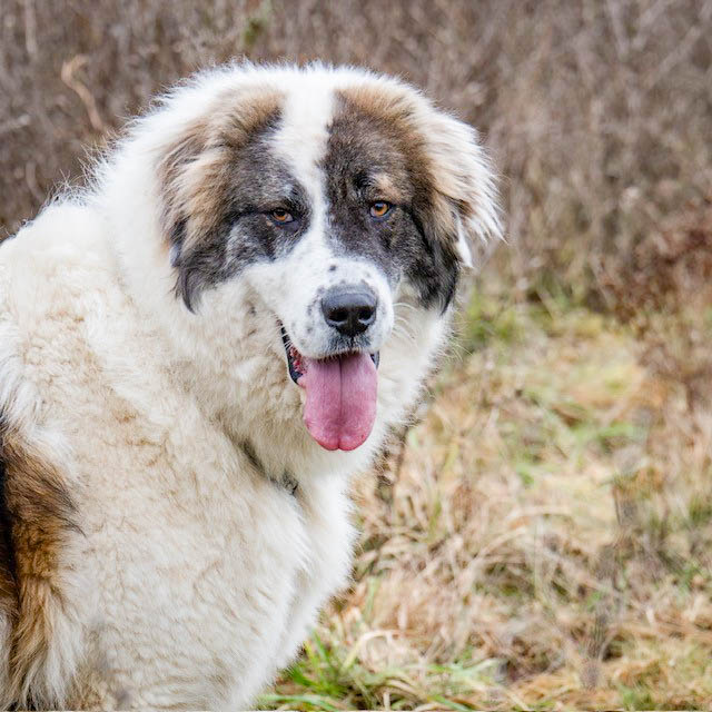 neues Fotos Februar 2026