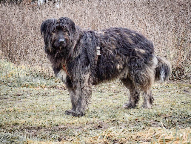 neues Foto Februar 2026