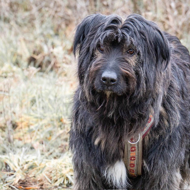 neues Foto Februar 2026