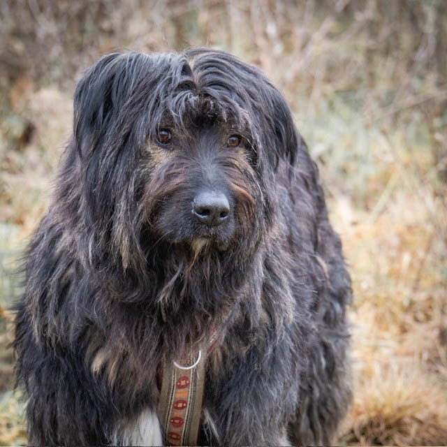 neues Foto Februar 2026