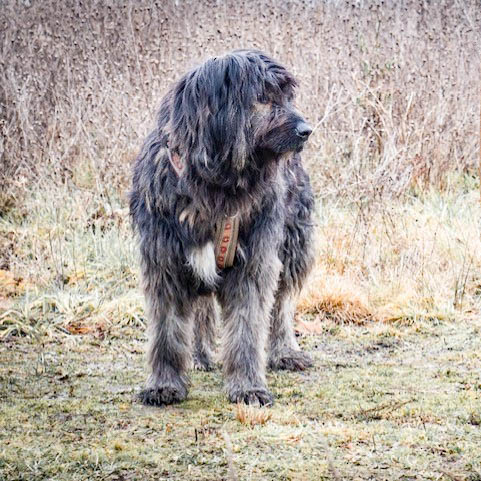 neues Foto Februar 2026