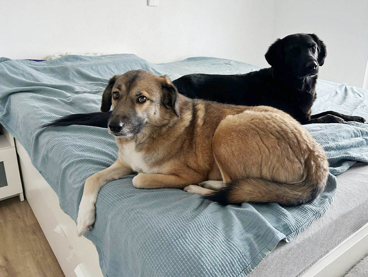 neues Foto Februar 2026