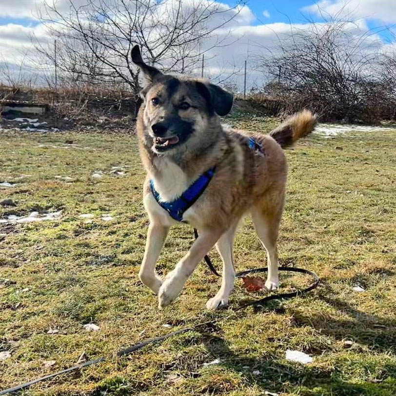 neues Foto Februar 2026