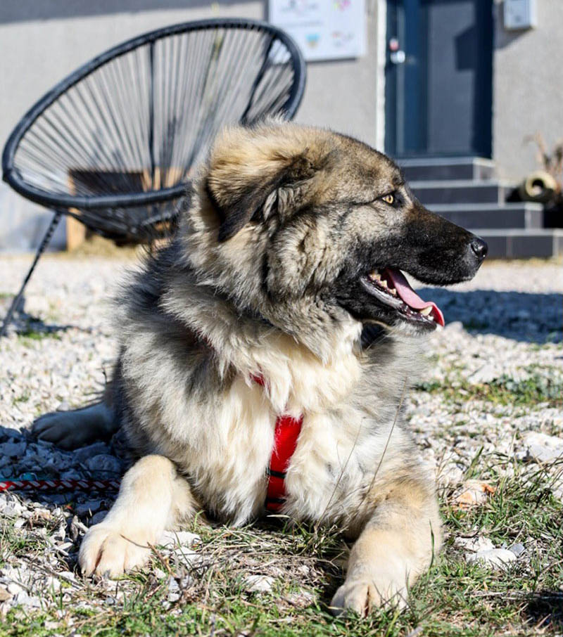 neues Foto Februar 2026