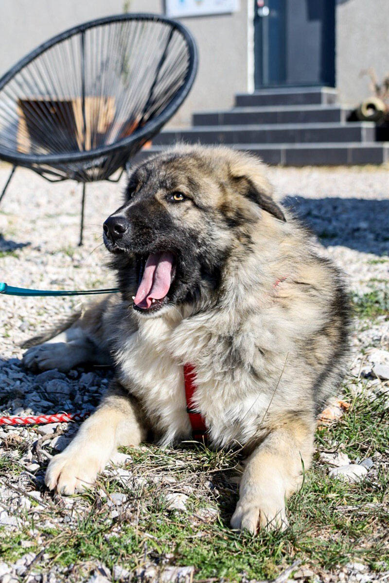 neues Foto Februar 2026