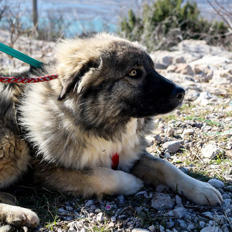 neues Foto Februar 2026