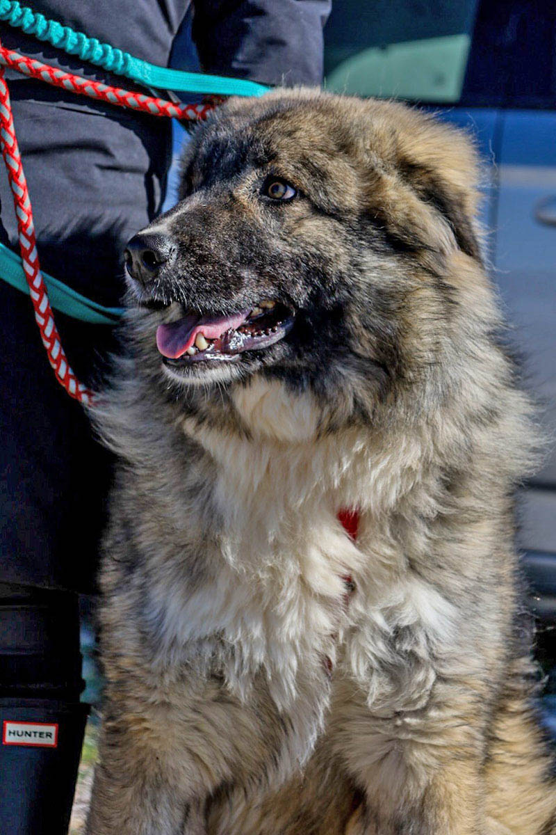 neues Foto Februar 2026