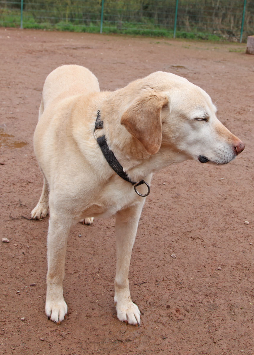 neues Foto Februar 2026